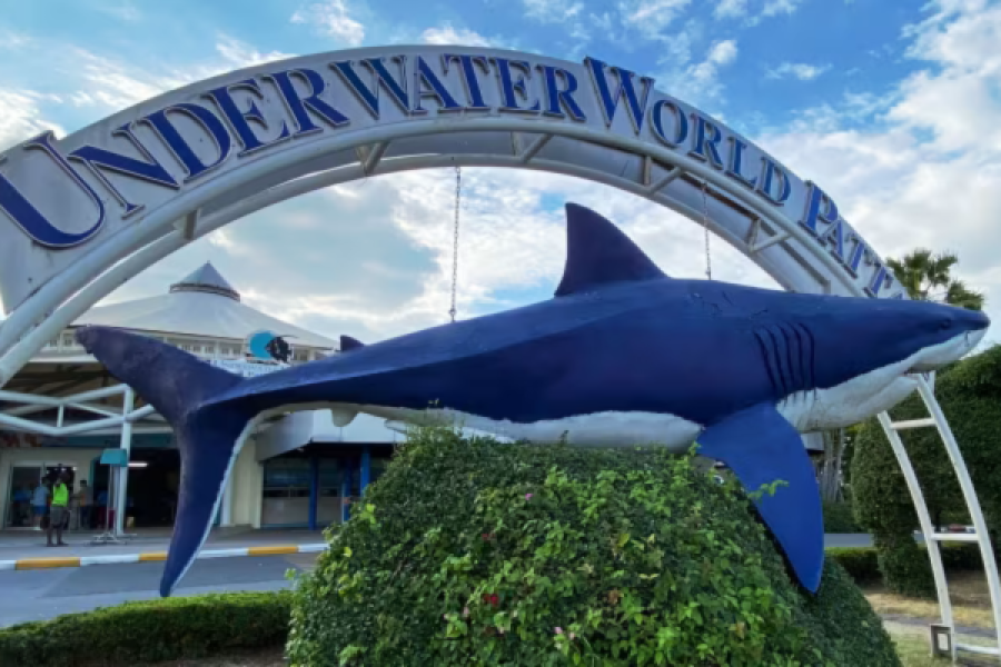 Underwater World Marine Experience