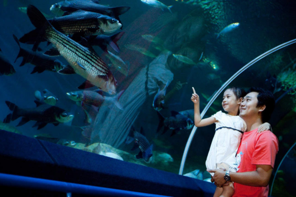 Underwater World Marine Experience