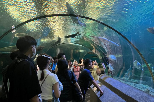 Underwater World Marine Experience