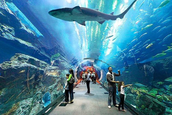 Underwater World Marine Experience