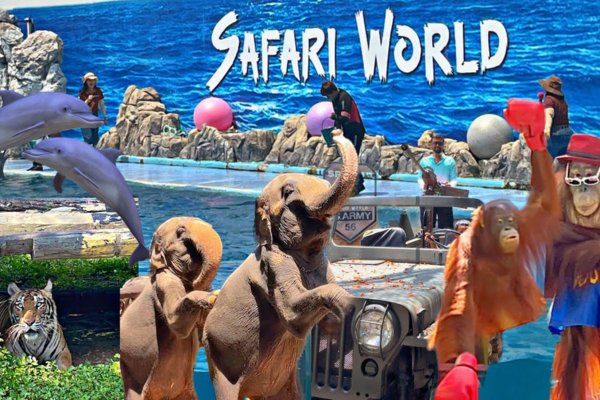 Safari World & Marine Park with Lunch