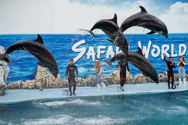 Safari World & Marine Park with Lunch