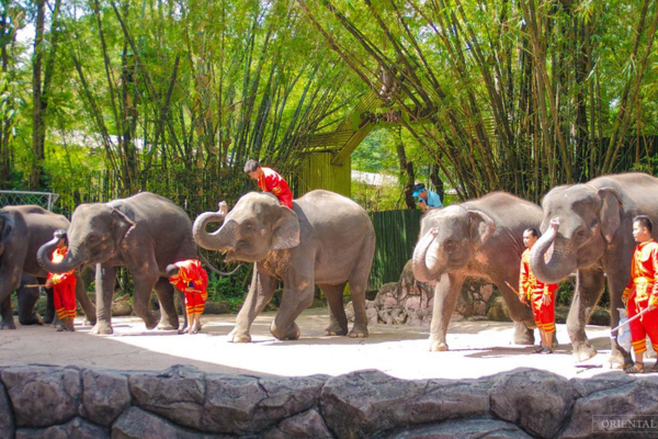 Safari World & Marine Park with Lunch