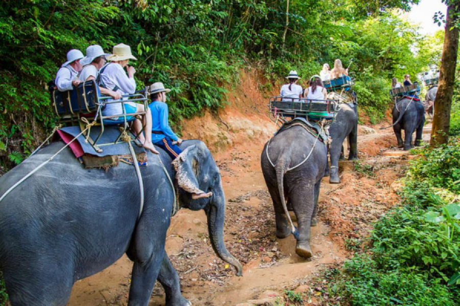 ATV Ride 30 Min. – Elephant Tracking 30 Min.