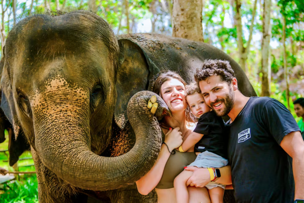 Elephant Trekking Phuket – 30 Minutes Ride