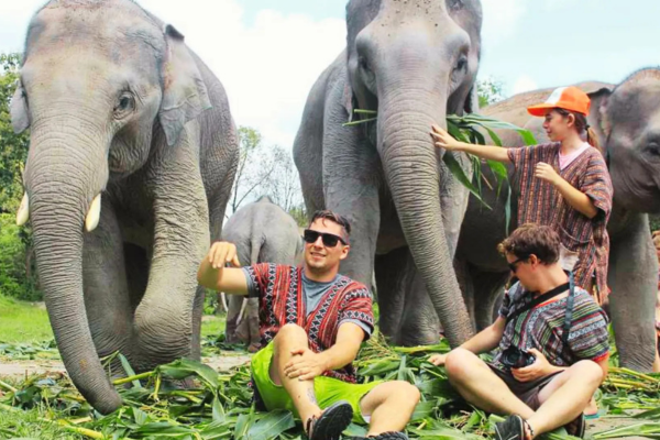 Elephant Trekking Phuket – 30 Minutes Ride