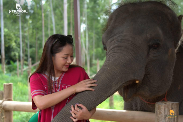 Elephant Trekking Phuket – 30 Minutes Ride