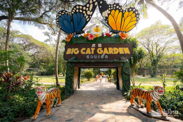 Amazing Kanchanaburi Safari Park