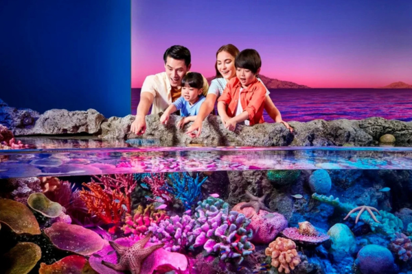 Sea Life Ocean World + Madame Tussauds + without Digital Photo