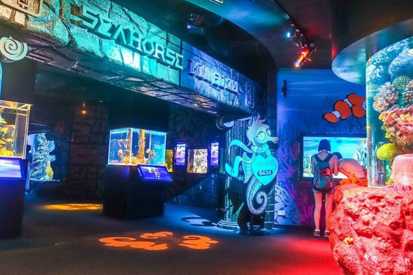 Sea Life Ocean World + Madame Tussauds + without Digital Photo