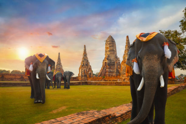Experience Ayutthaya Historical Tour