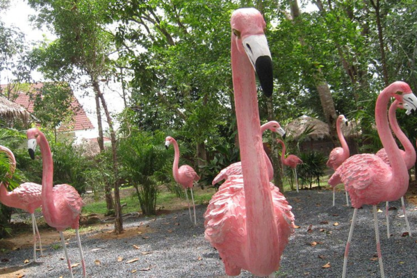 Amazing Phuket Bird Park