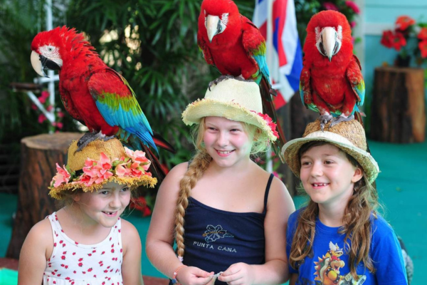 Amazing Phuket Bird Park