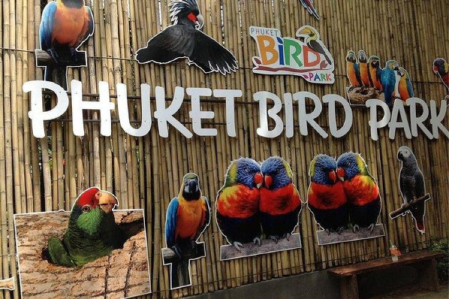 Amazing Phuket Bird Park