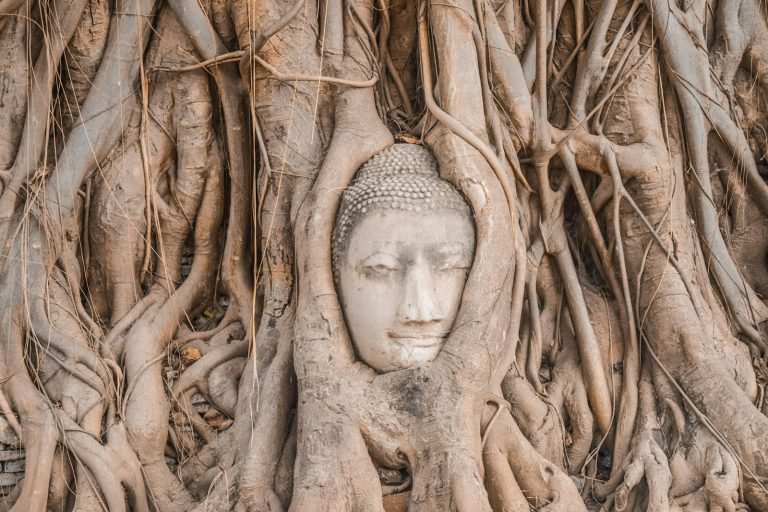 Buddha head in tree roots, Ayutthaya
