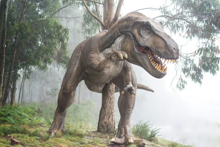 Tyrannosaurus rex model in a misty forest