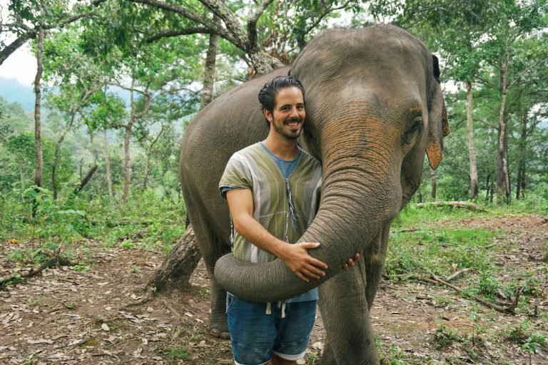 Walking with an elephant in the forest