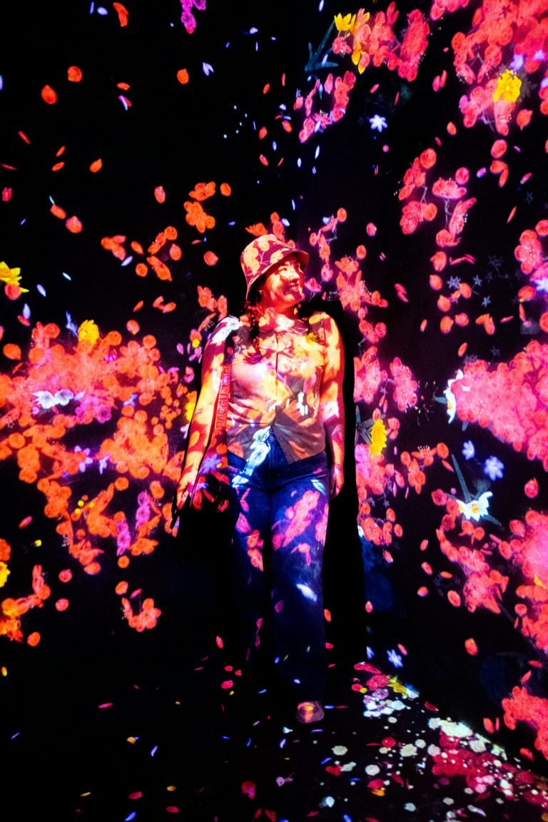 Projected flower petals around a visitor