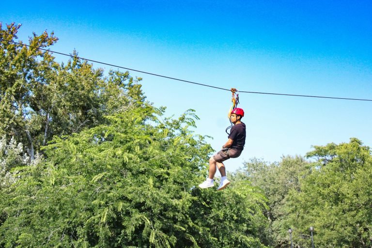 Zipline through the forest