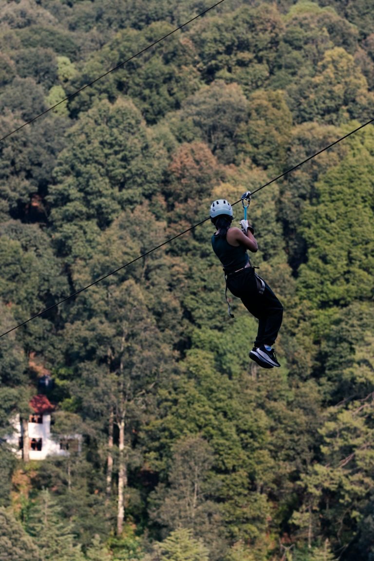Zipline over a green forest